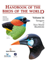 HANDBOOK OF THE BIRDS OF THE WORLD VOL16 - 9788496553781